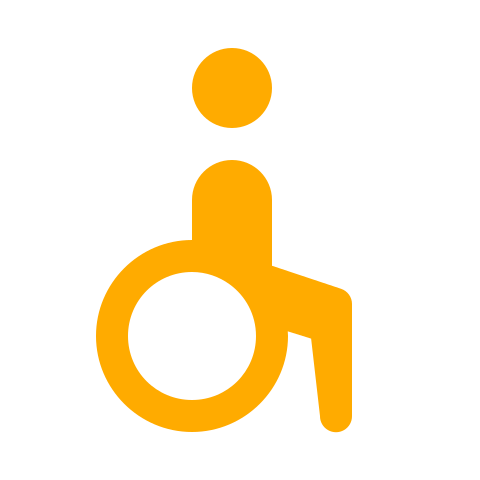 Wheelchair icon